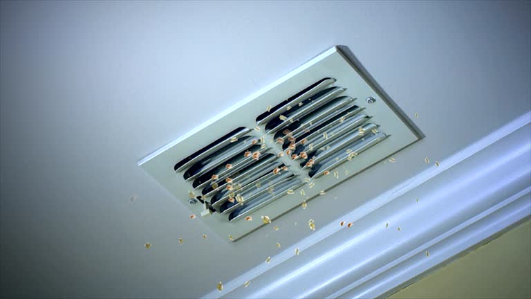 Best Air Duct Cleaning Near Me  in Babbitt, MN