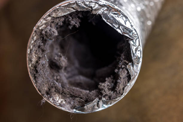 Best Ductwork Cleaning Services  in Babbitt, MN