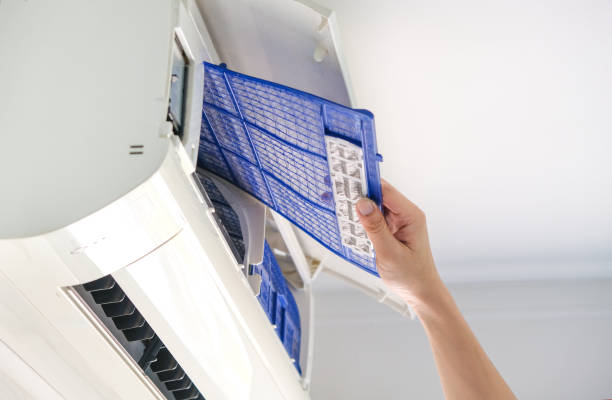 Best Dryer Vent Cleaning Services  in Babbitt, MN
